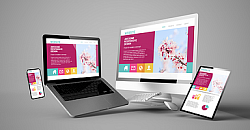 Become a Web Designer Course ( @ $30.00)